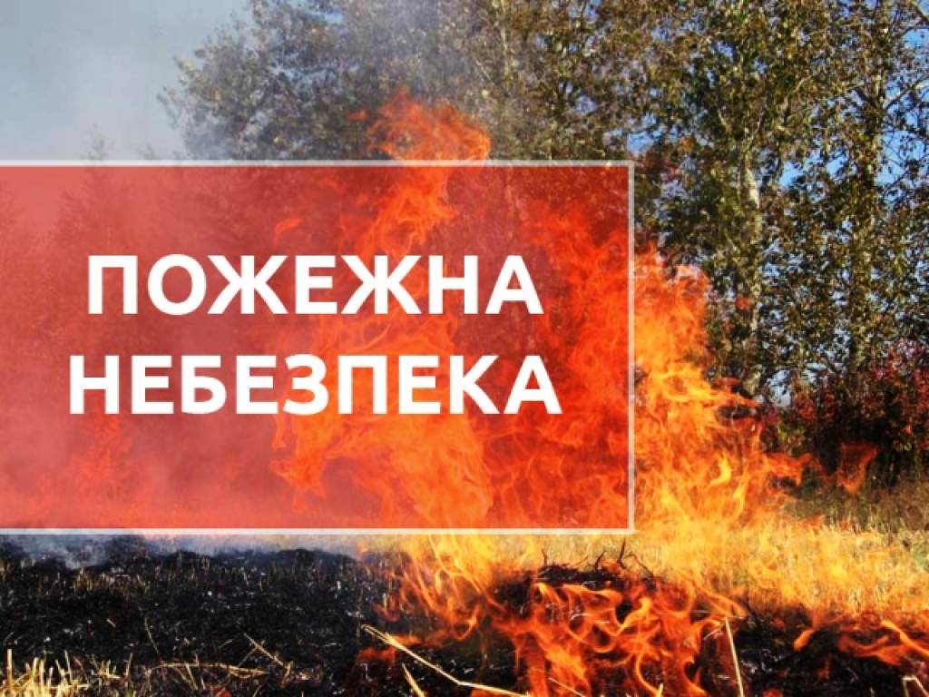 Рятувальники області закликають громадян дотримуватися правил пожежної  безпеки в природних екосистемах - Житомирська обласна військова  адміністрація
