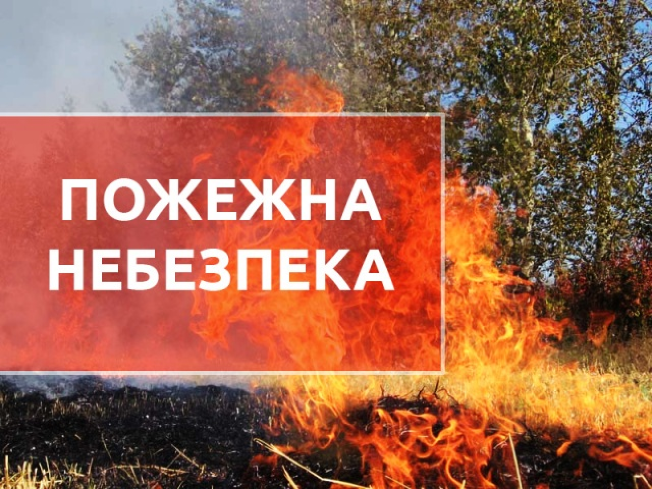 Попередження про пожежну небезпеку в Україні: не провокуйте пожежі в  екосистемах - Житомирська обласна військова адміністрація