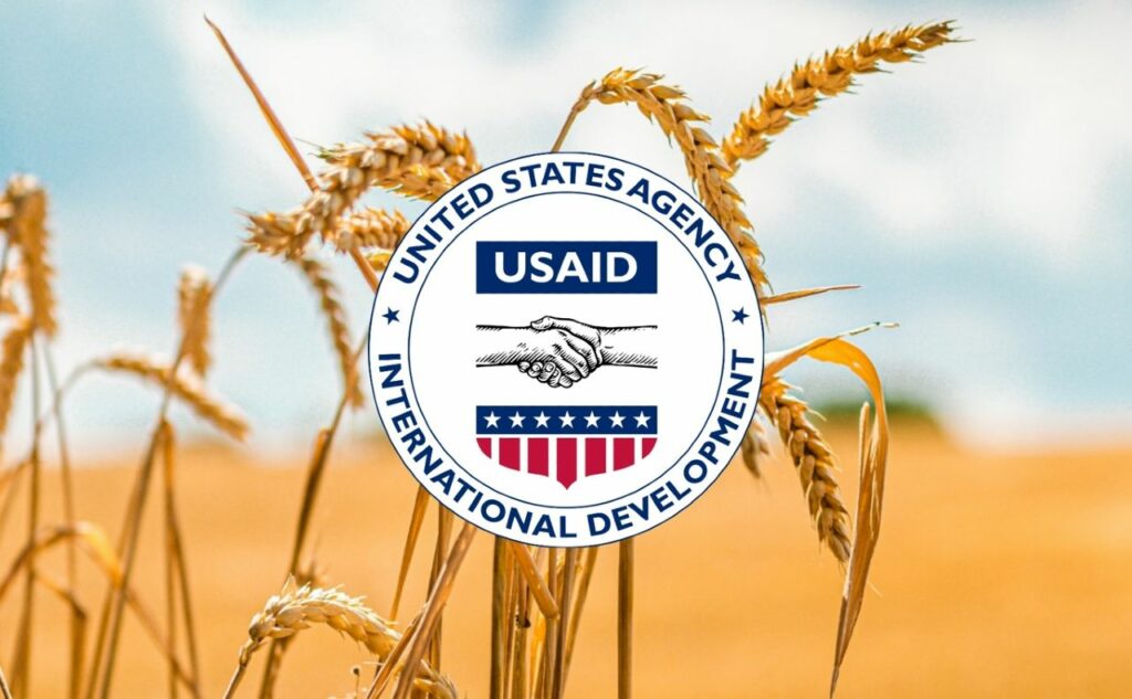 USAID АГРО: програми для проєктів розвитку свинарства та розвитку потужностей з доробки, сушіння та зберігання зерна