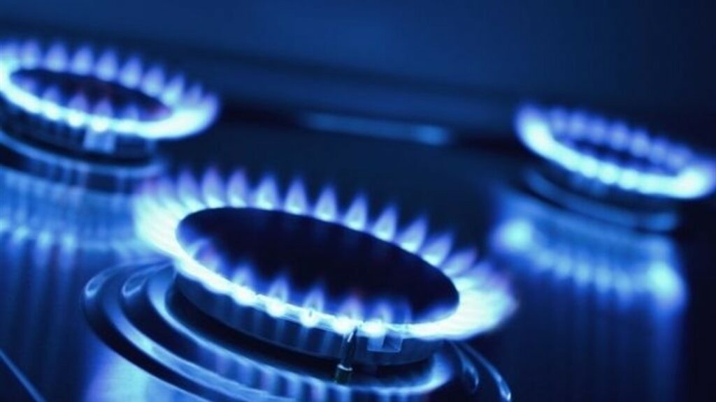 Частина споживачів Житомирщини отримуватимуть газ від національного оператора газорозподільних мереж