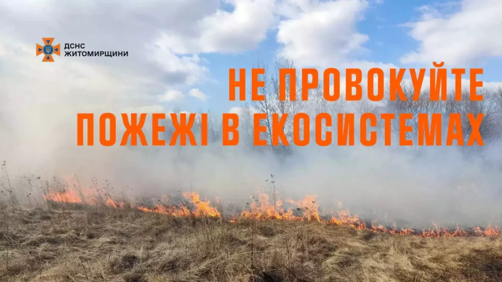 ДСНС Житомирщини: Почуйте рятувальників – не паліть суху траву!