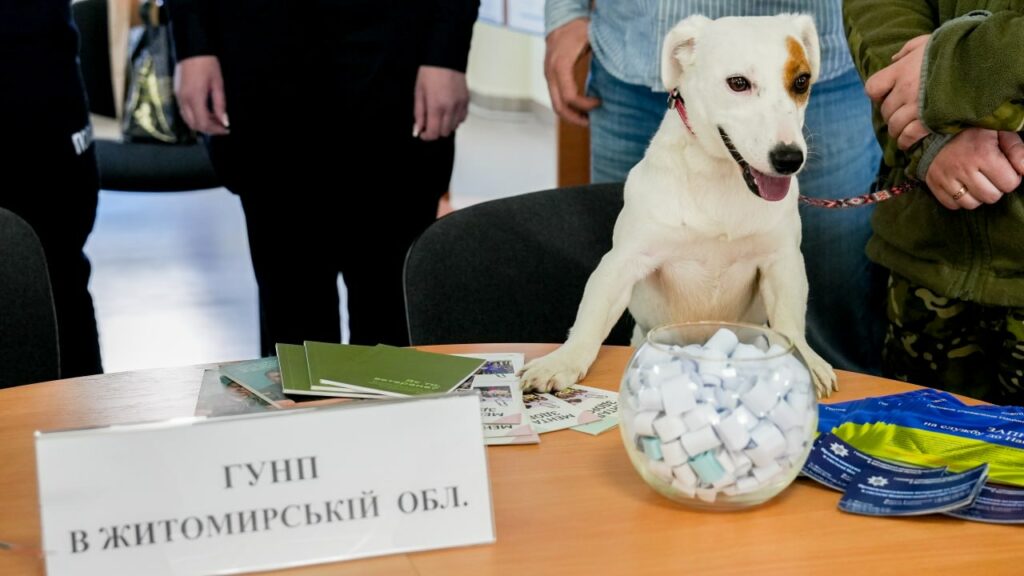 Фото без опису